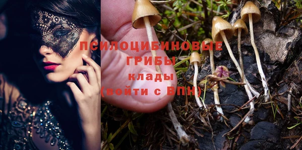 винт Михайлов