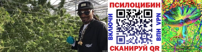 Купить где  Саранск  Галлюциногенные грибы GOLDEN TEACHER 