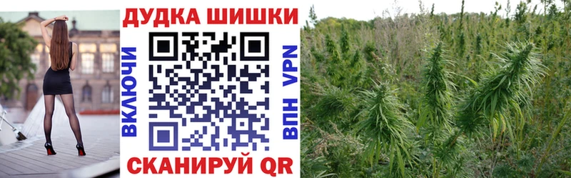 Купить закладки  Саранск  Бошки марихуана гибрид 